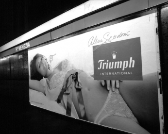 2006_687_12-triumph-9-2006_687_12