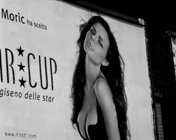 2007_873_18-star-cup-276-2007_873_18